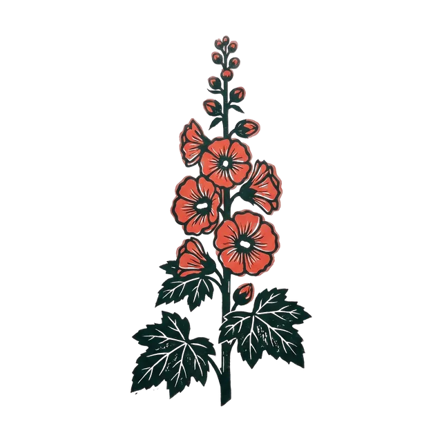 Hollyhock, drawn