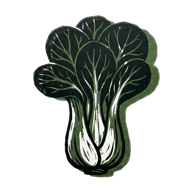 Chinese cabbage, drawn