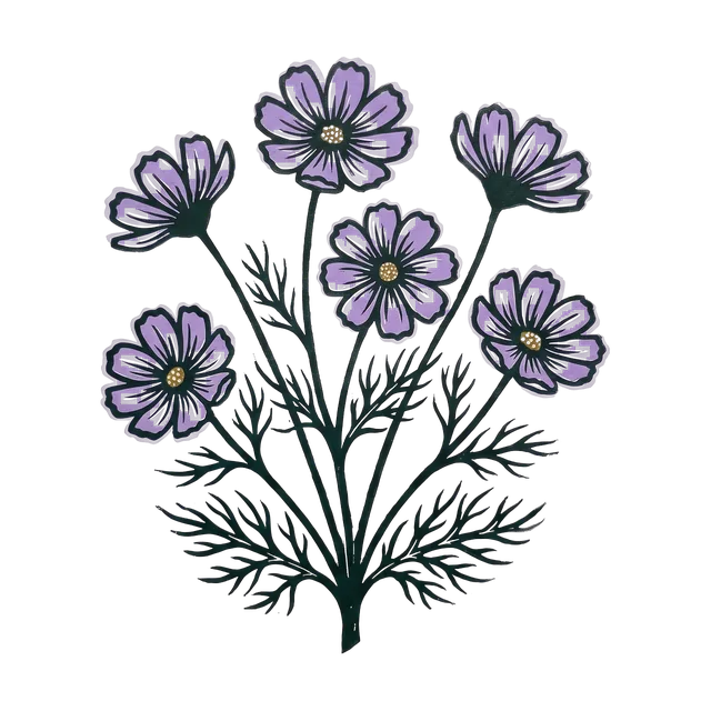 Cosmos, drawn