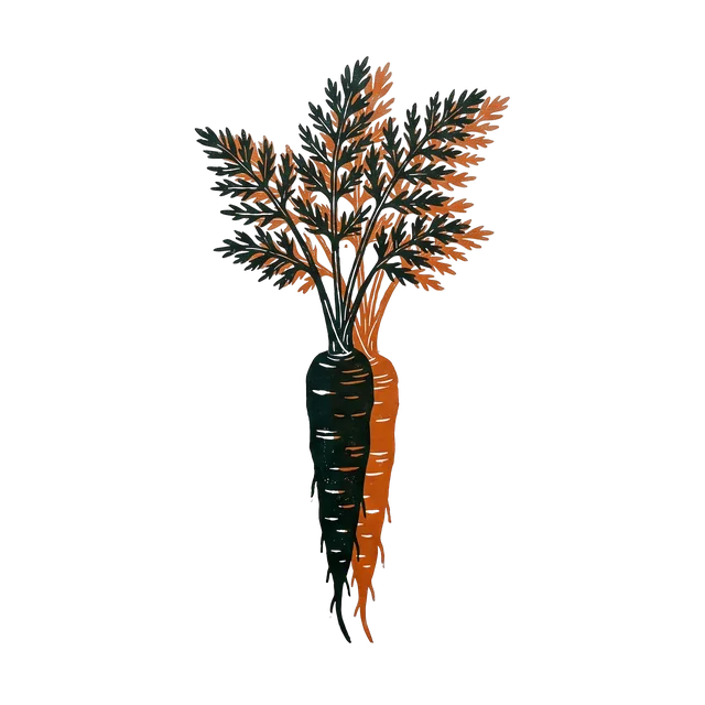 Carrot, drawn