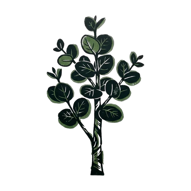 Gum tree, drawn