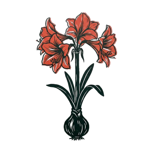 Amaryllis, drawn