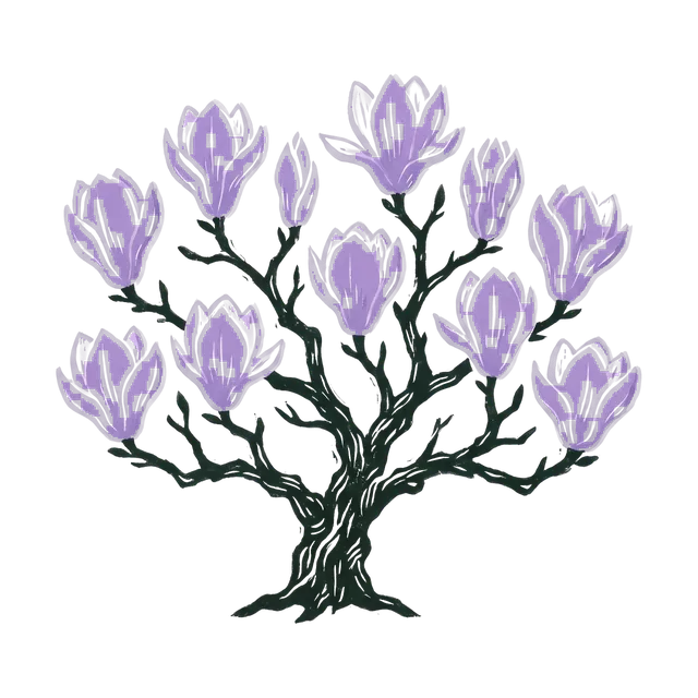 Magnolia, drawn
