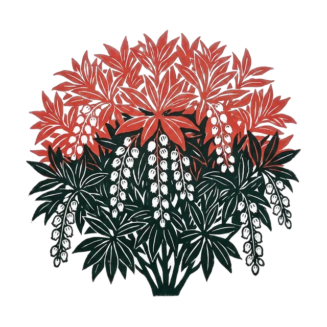 Pieris, drawn