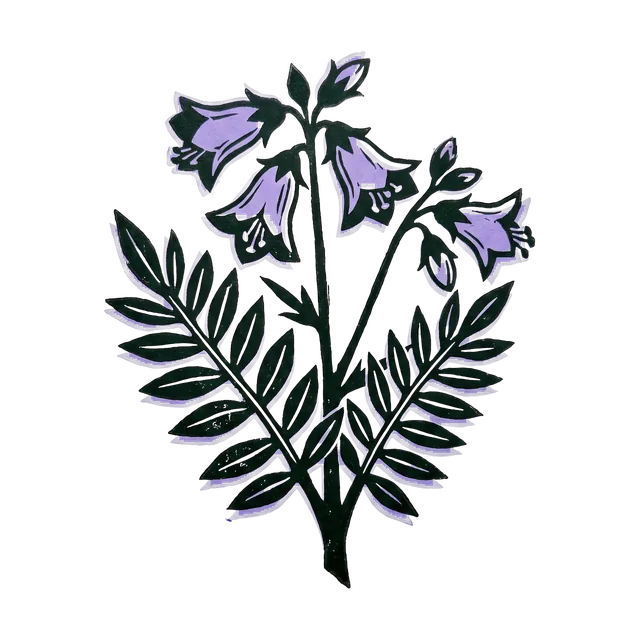 Jacob’s ladder, drawn