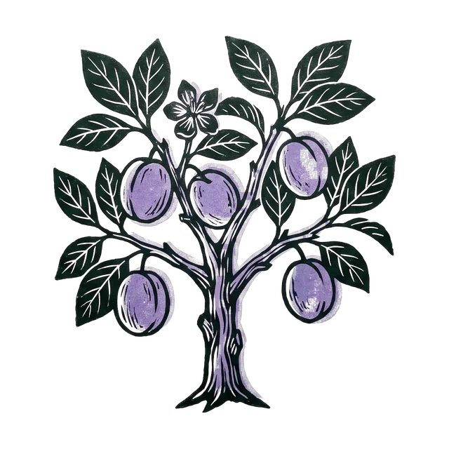 Plum, drawn