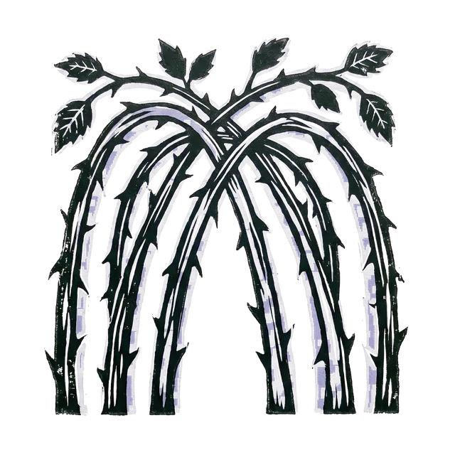 White-stemmed bramble, drawn