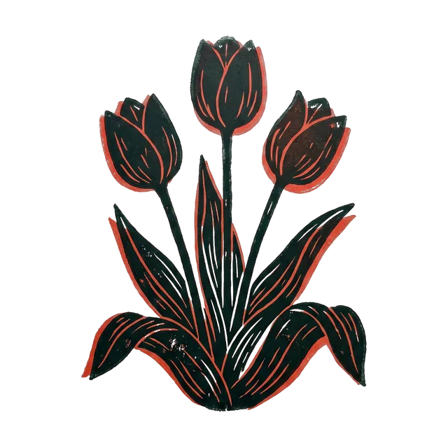 Tulip, drawn